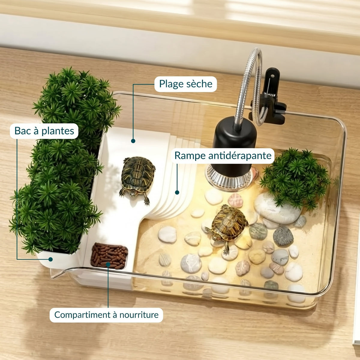 Terrarium tortue d'eau avec plage sèche et bac à plantes