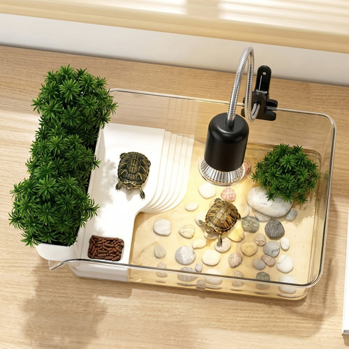 Terrarium tortue d'eau avec plage sèche et bac à plantes