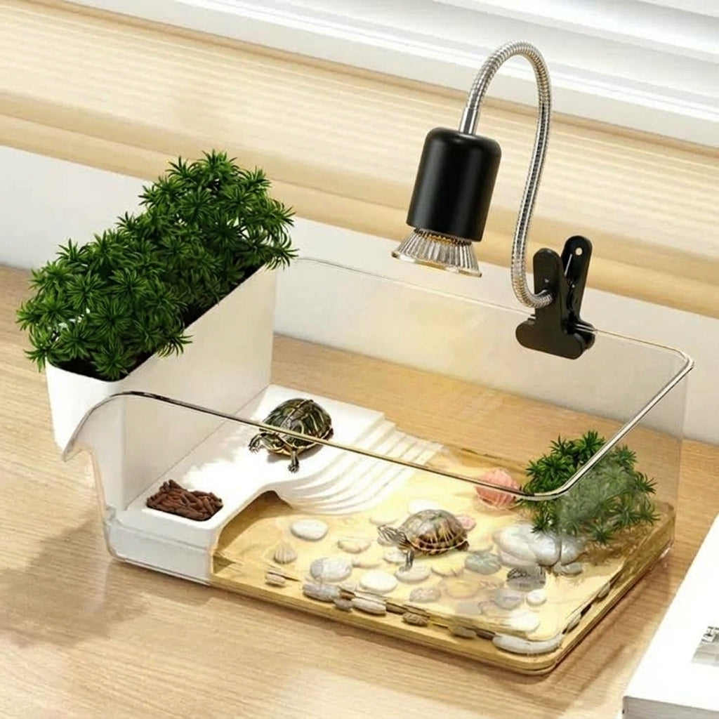 Terrarium tortue d'eau avec plage sèche et bac à plantes