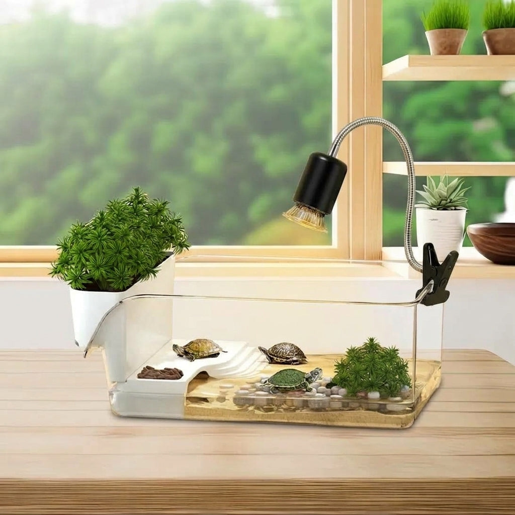 Terrarium tortue d'eau avec plage sèche et bac à plantes