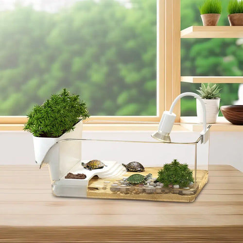 Terrarium tortue d'eau avec plage sèche et bac à plantes